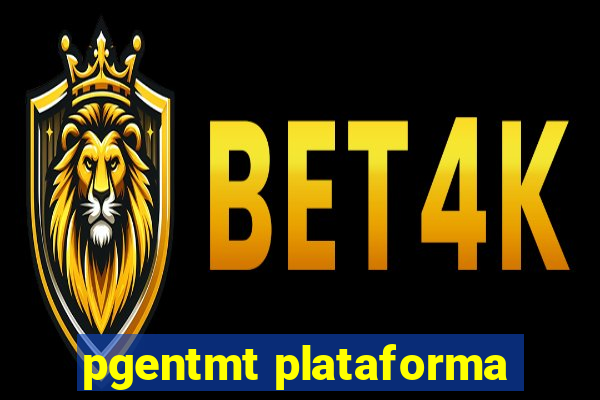 pgentmt plataforma